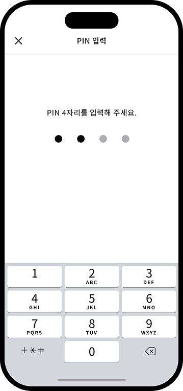 PIN 입력 화면