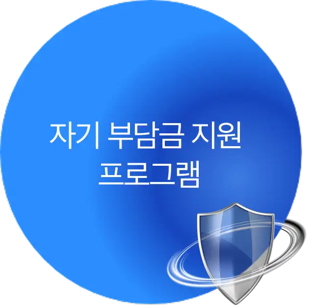 자기 부담금 지원 프로그램