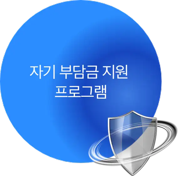 자기 부담금 지원 프로그램
