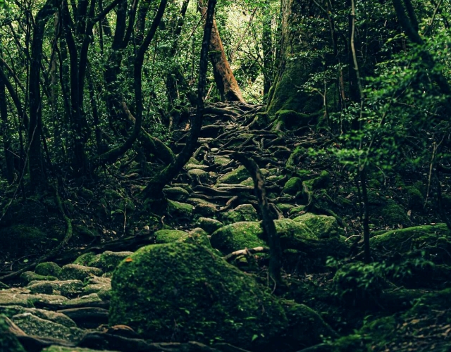 AMAZING NATURE2