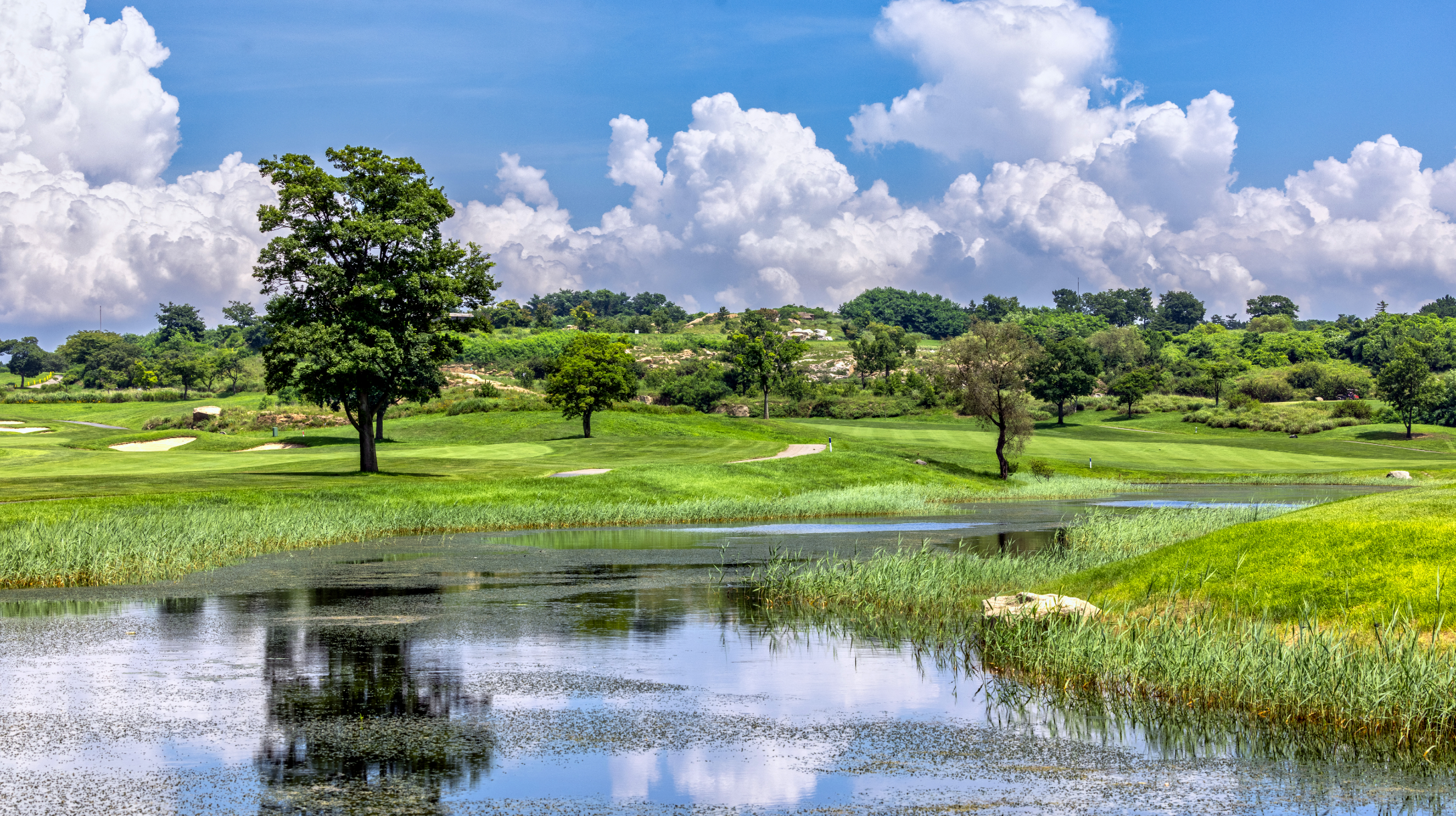 CLUB 72 OCEAN COURSE 전경 4