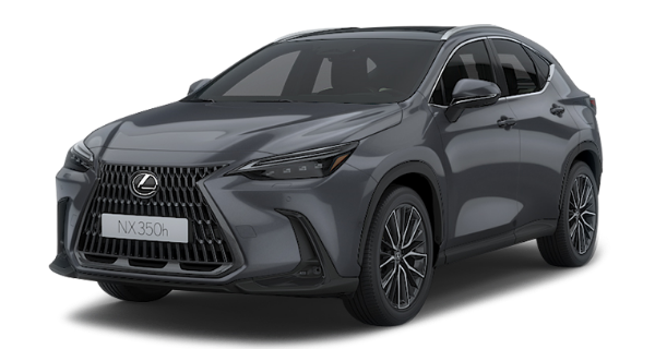NX 350h 차량 이미지